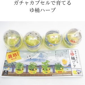 ガチャカプセルで育てるハーブ・サボテンキット