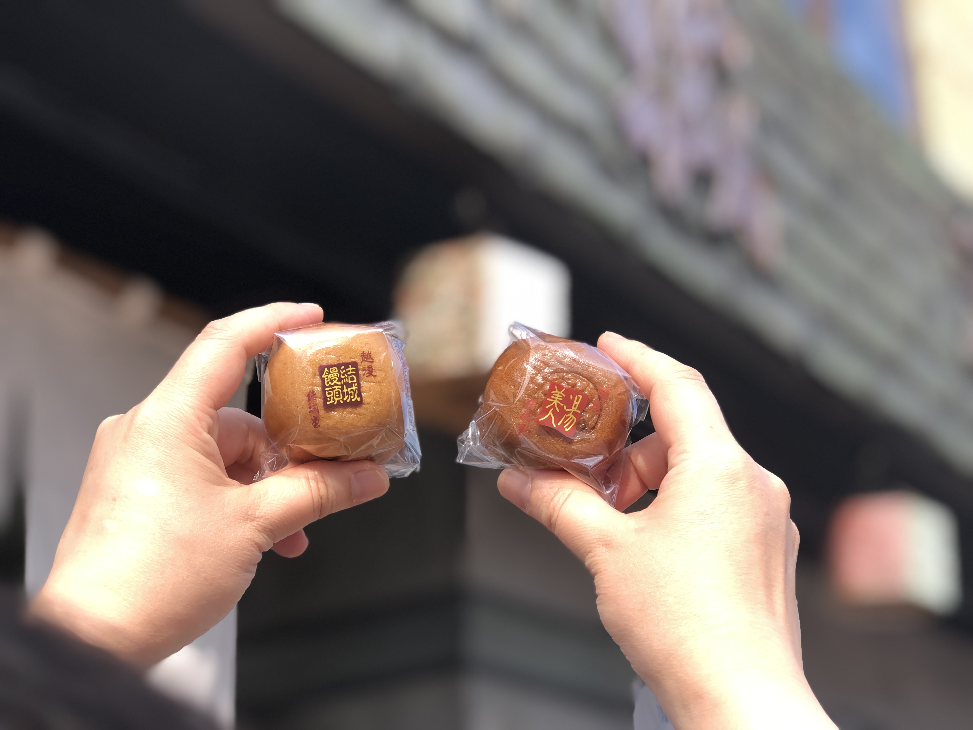 古町どんどん‼