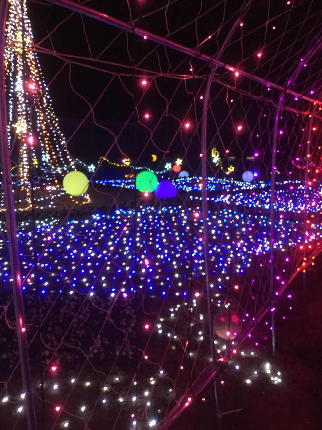 フラワーセンターのクリスマスイルミネーションを見に行って来ました