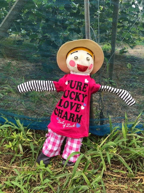 店の看板娘