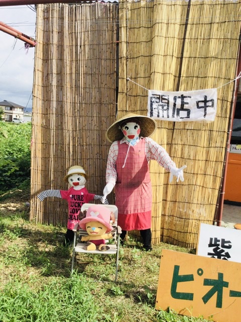 ぶどう直売所販売