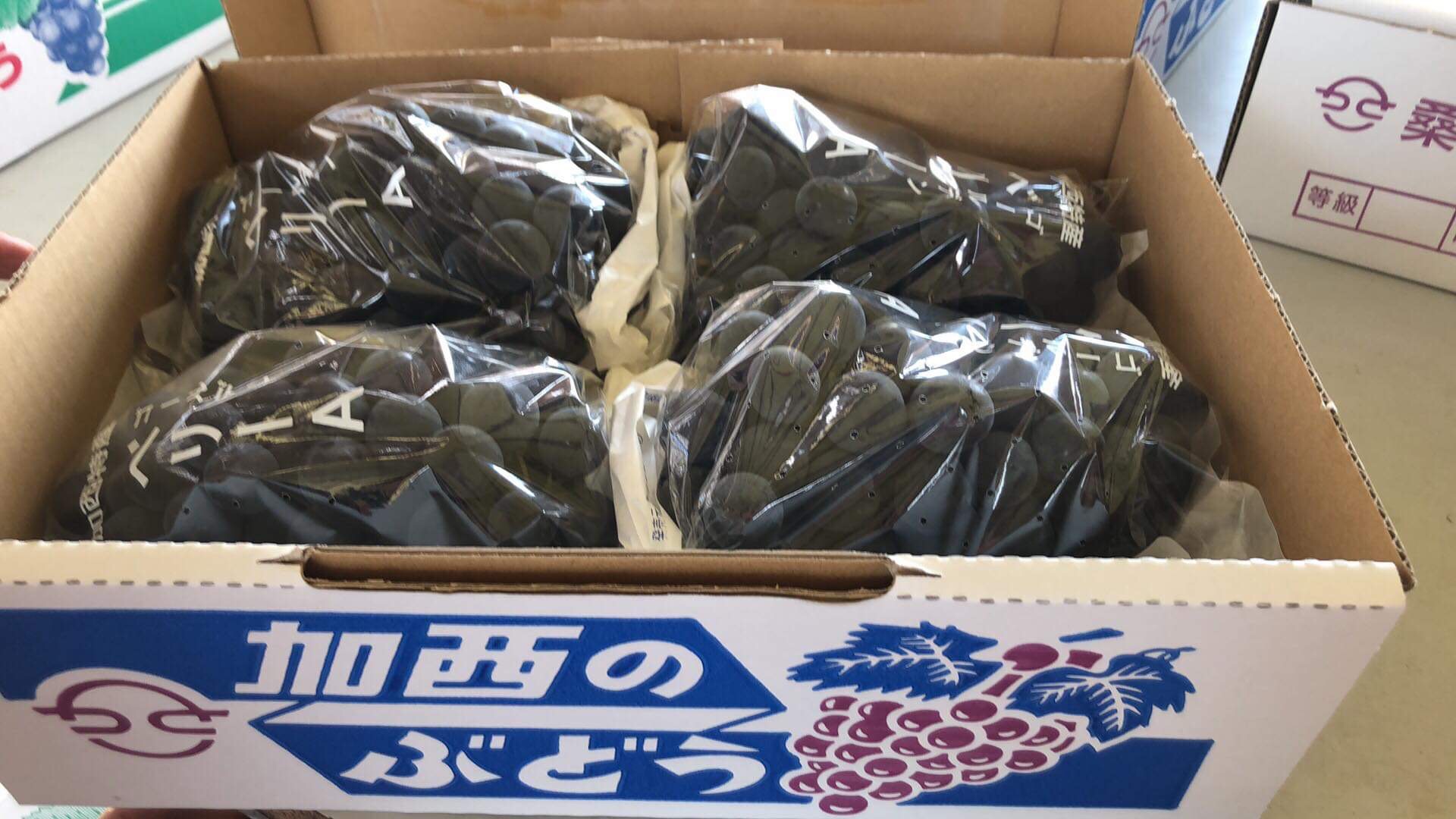 お盆のお供物にぶどう