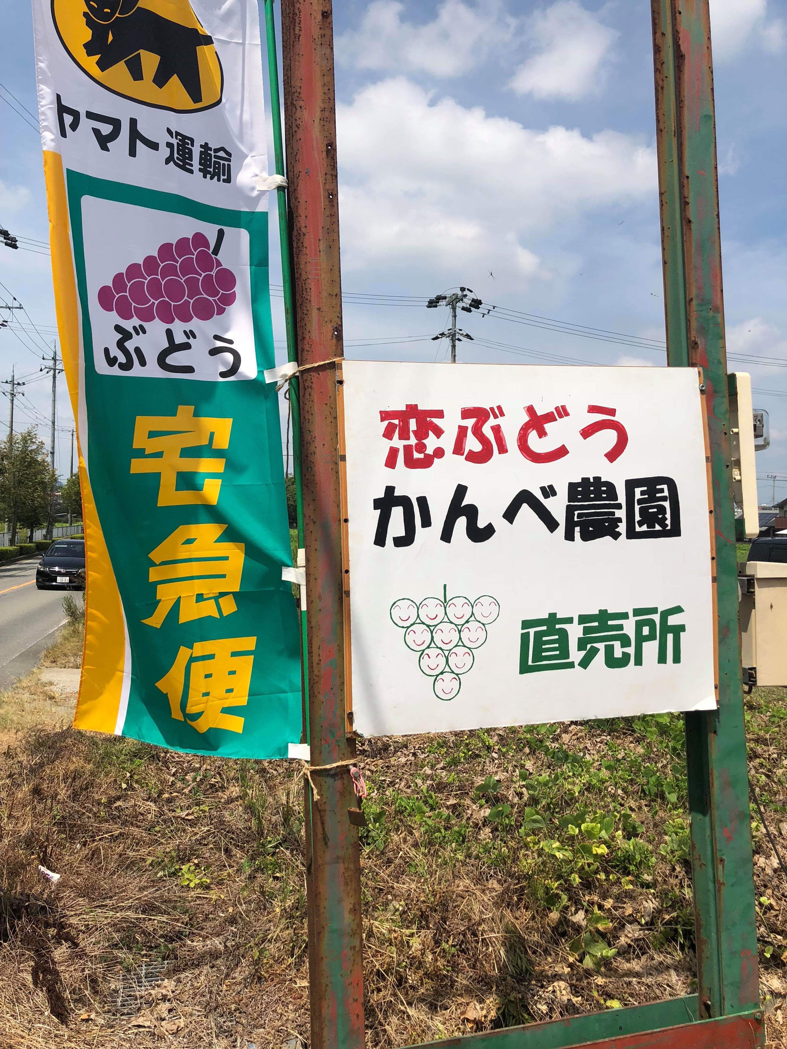 ぶとうの販売と郵送