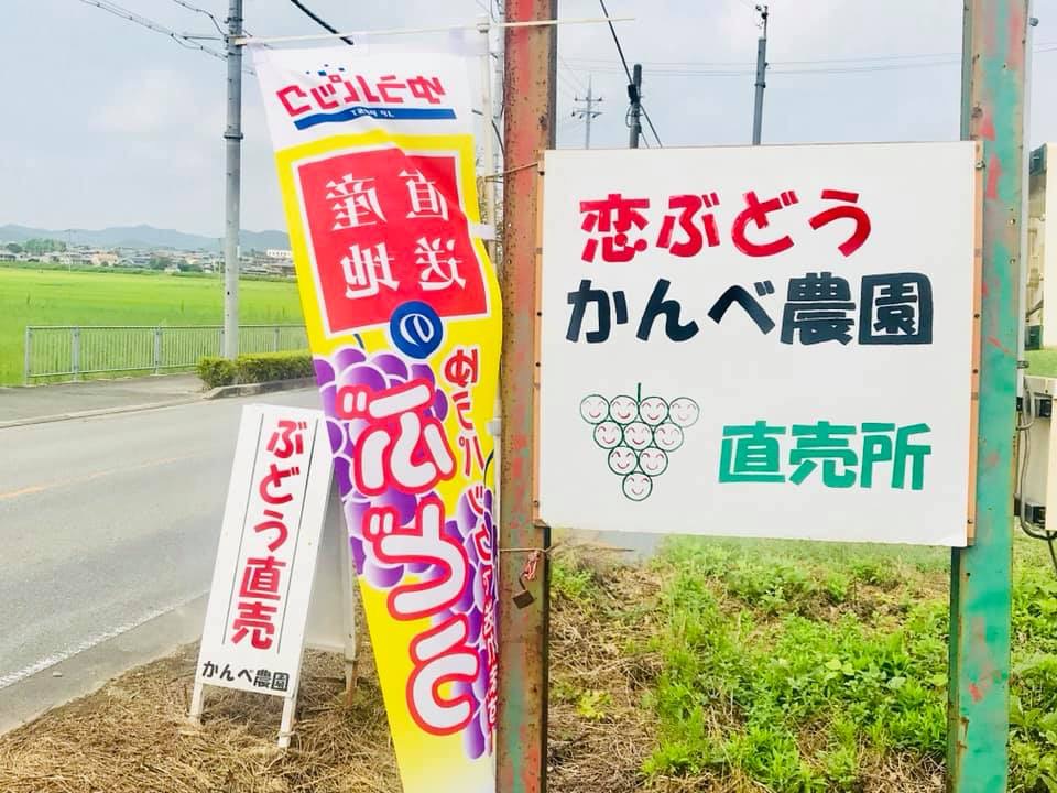 そよ風