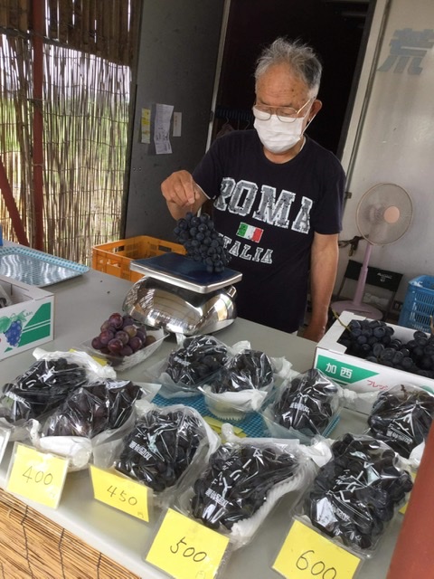 コロナ感染症対策