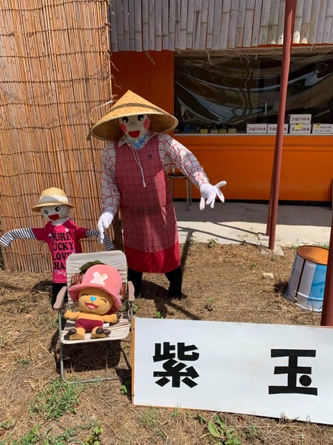 直売所オープン