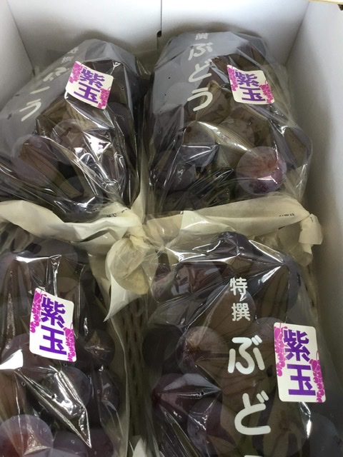 紫玉と藤稔が完熟