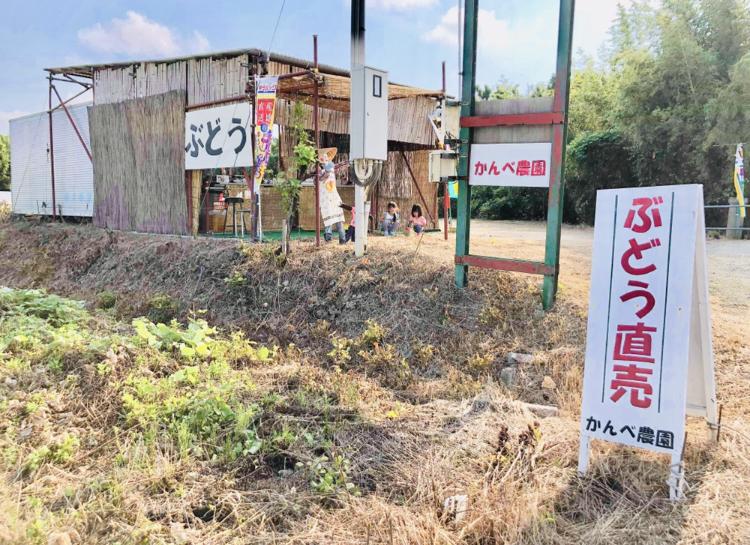 販売終了