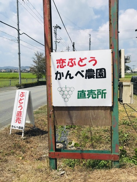 直売所販売しています