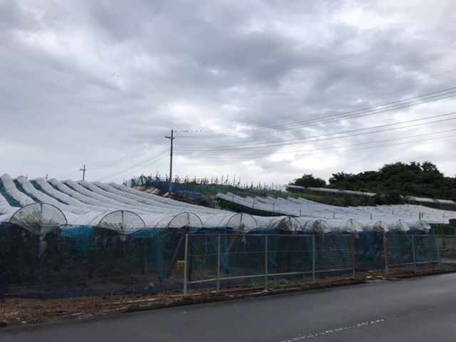 雨が続く日々