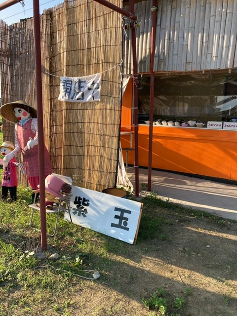 暑い日々