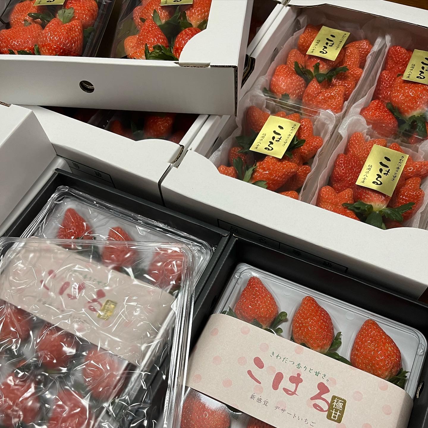 『こはる』いちご出荷はじめました！