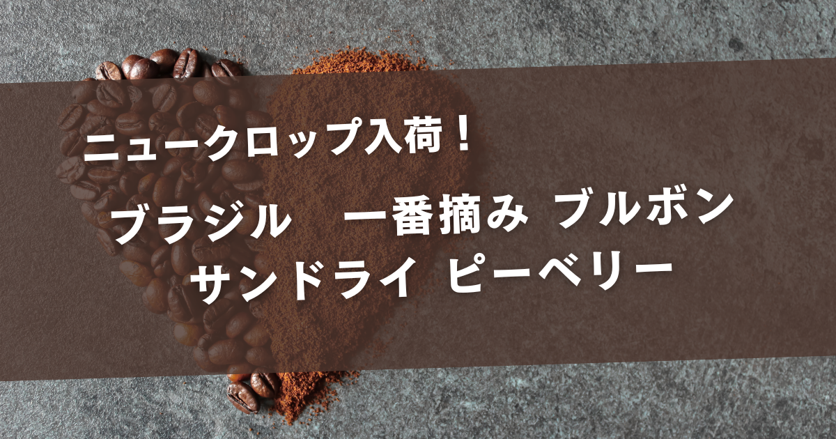 ★新豆入荷★ニュークロップ入荷！ブラジル / 一番摘み ブルボン サンドライ ピーベリー