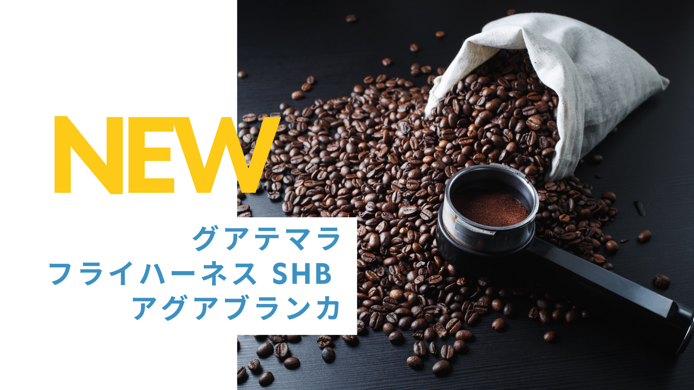 ★新商品★グアテマラ　フライハーネスSHB　アグアブランカ