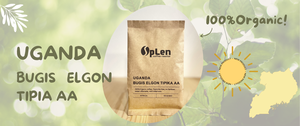 100％オーガニックコーヒー「ウガンダ　ブギス・エルゴン AA 」数量限定販売！