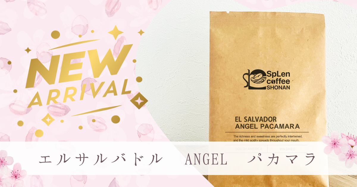 ★新商品★エルサルバドル / ANGEL パカマラ