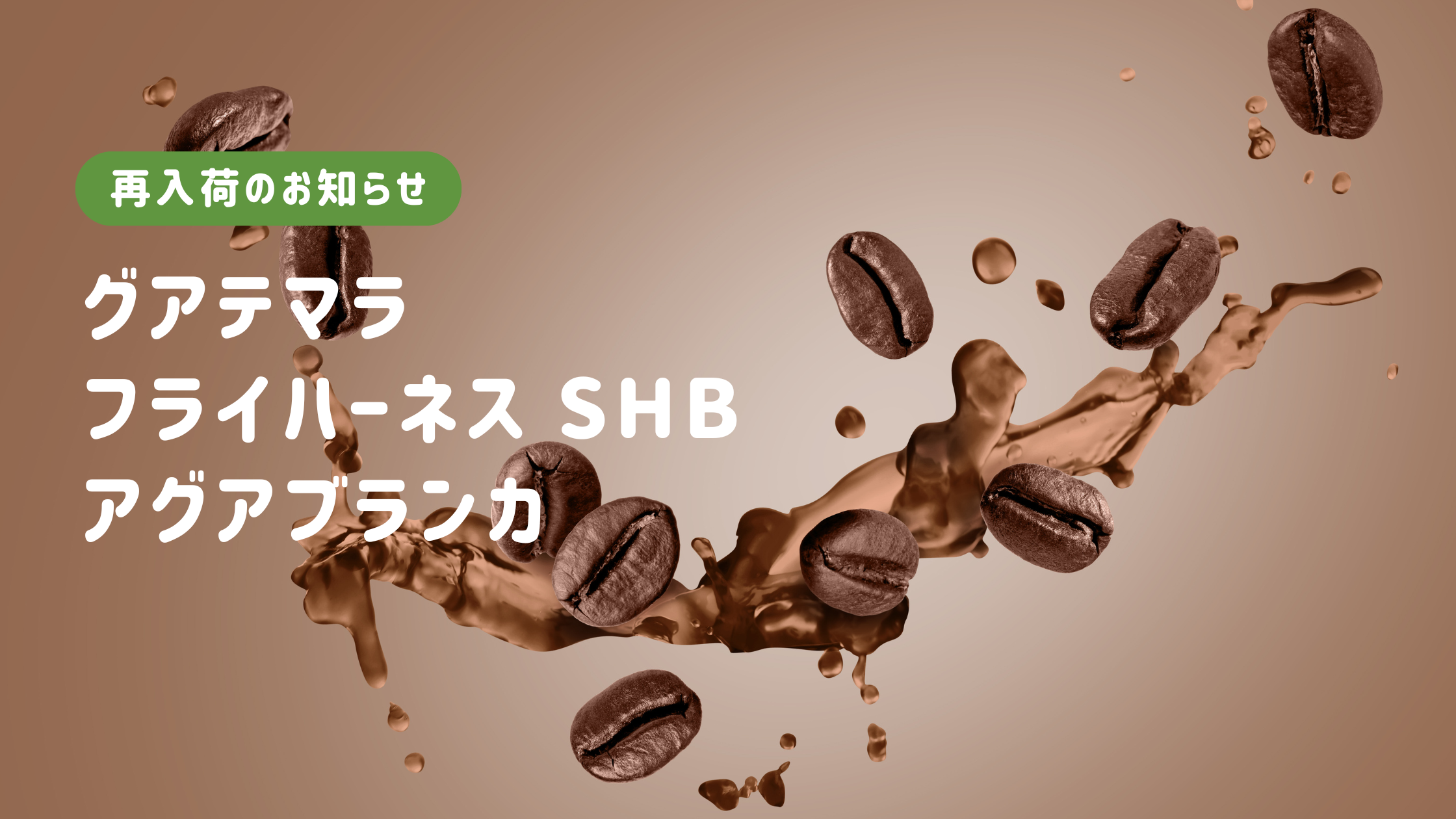 ★再入荷★グアテマラ フライハーネス SHB アグアブランカ