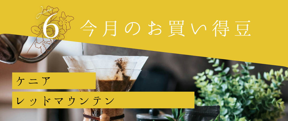【6月のお買い得珈琲豆】ケニア/レッドマウンテン