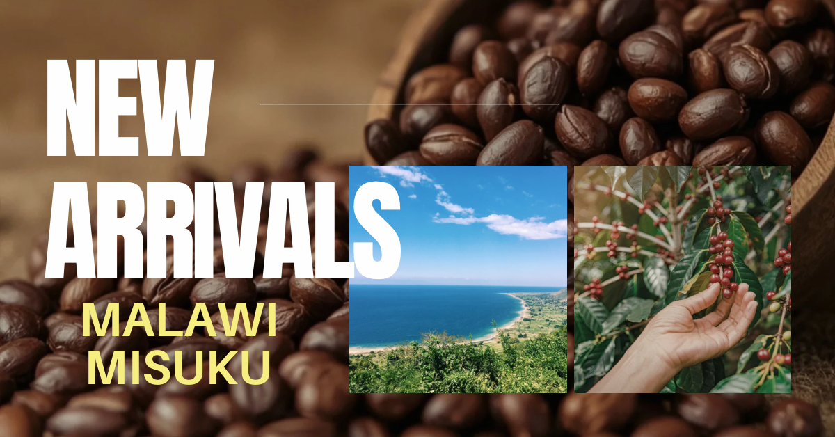 【新商品】マラウイ ミスク