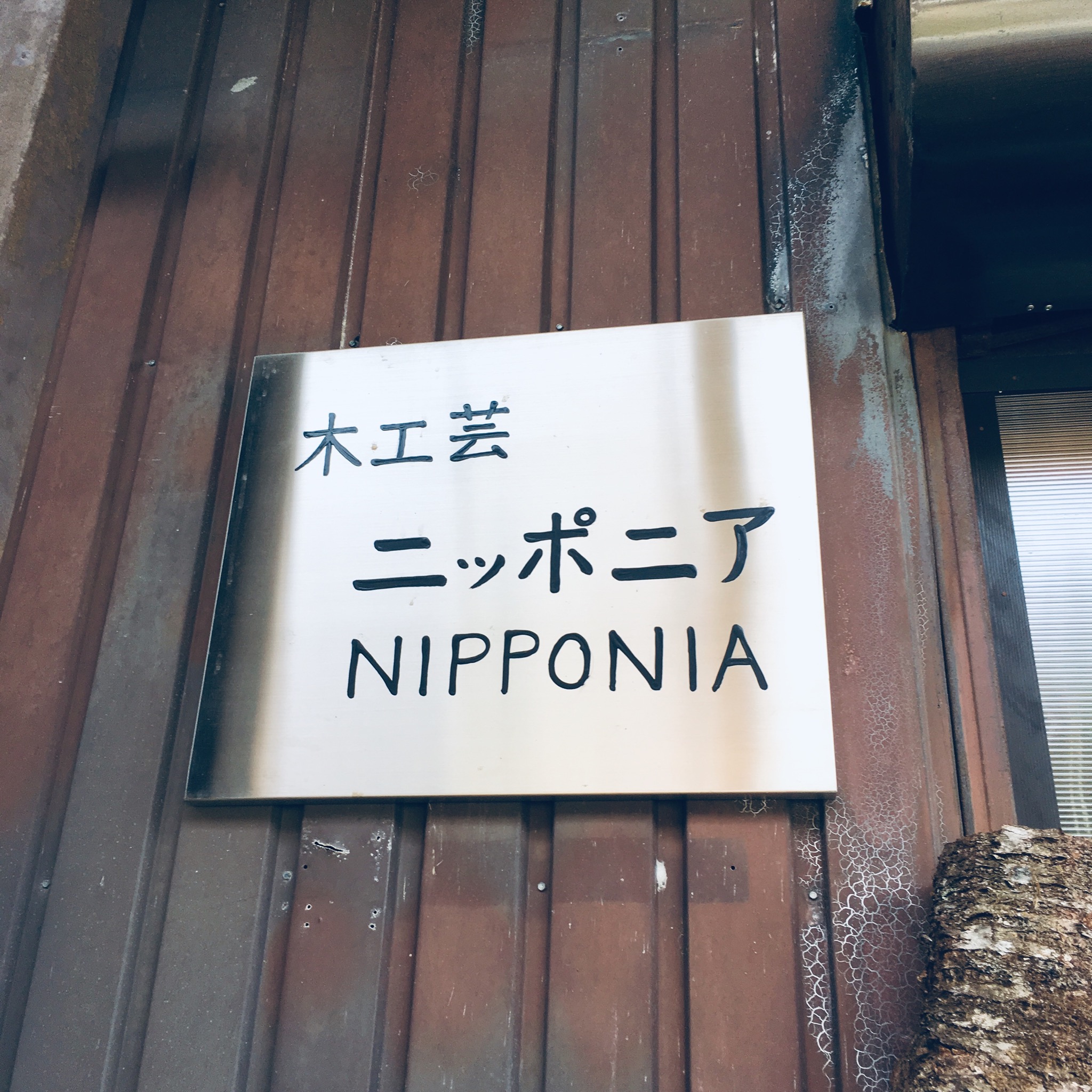 ニッポニア、高室さん