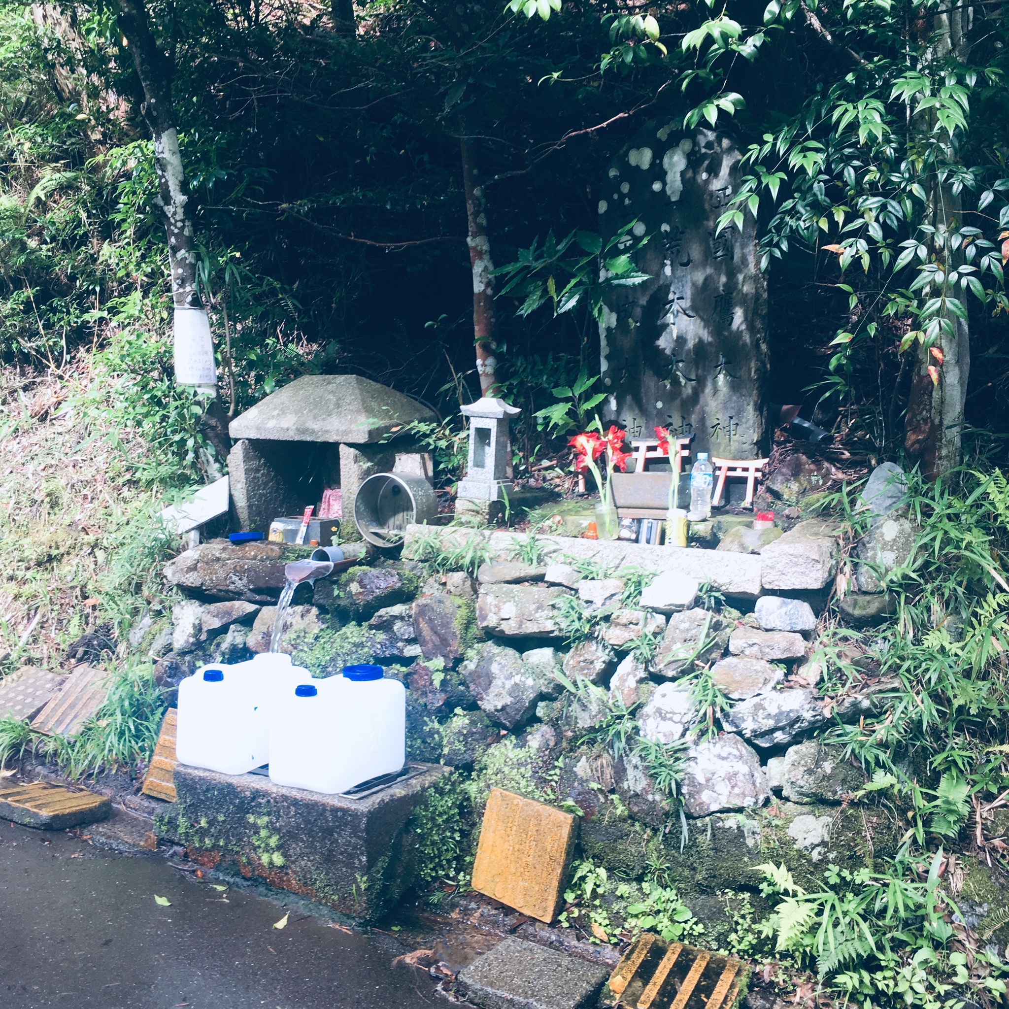 朝イチの水汲みへ