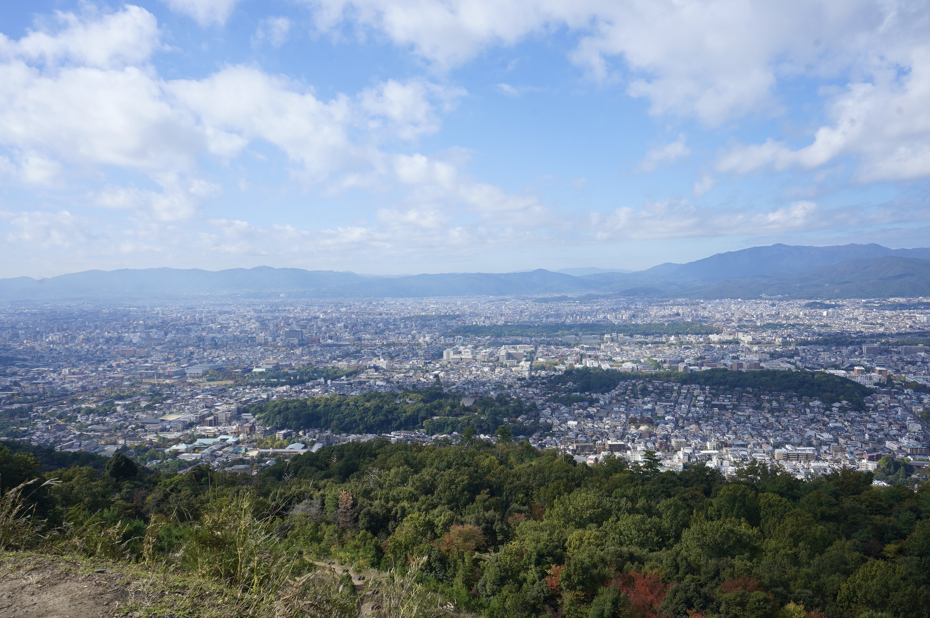 11/13(水) 店舗営業日です。