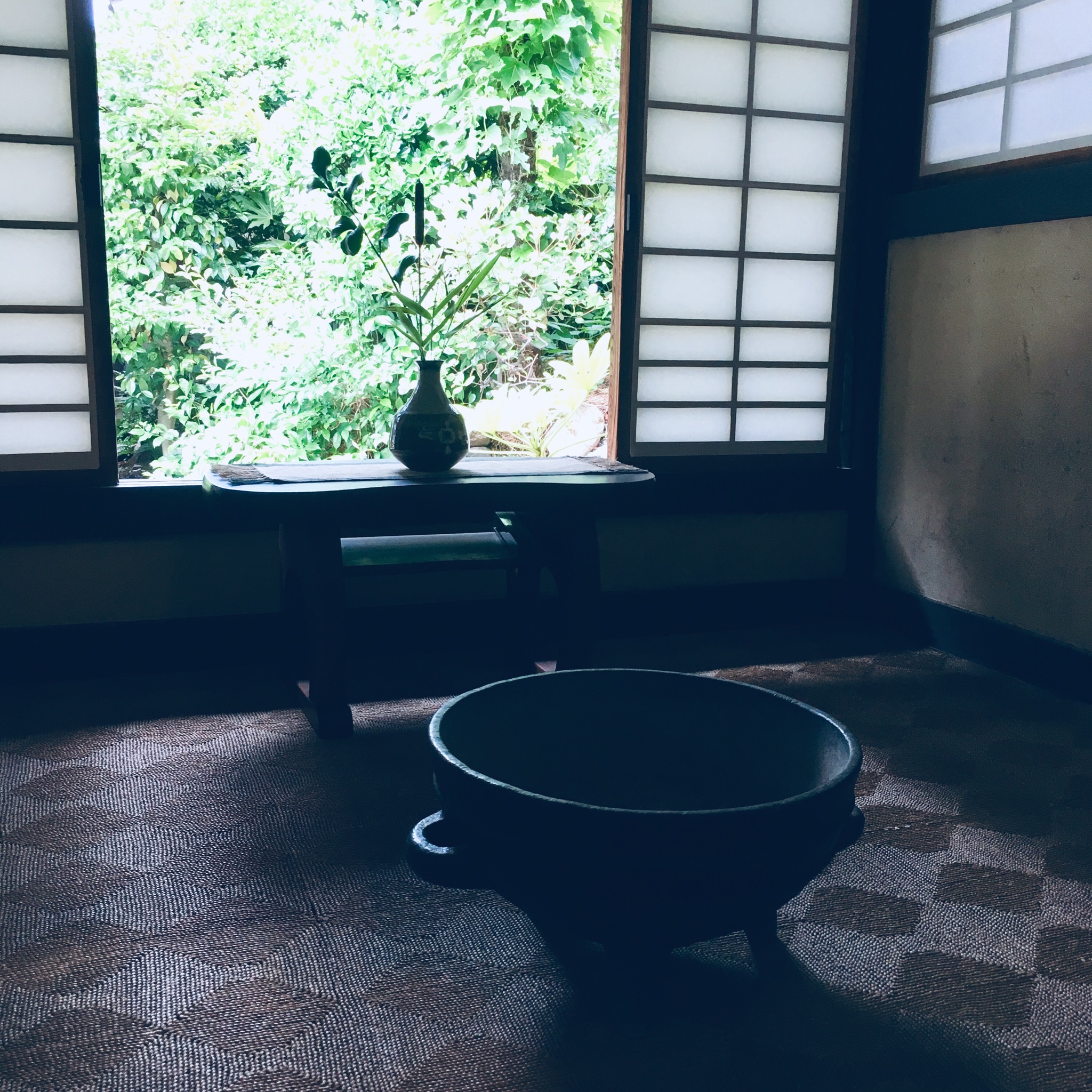 今日はおやすみです