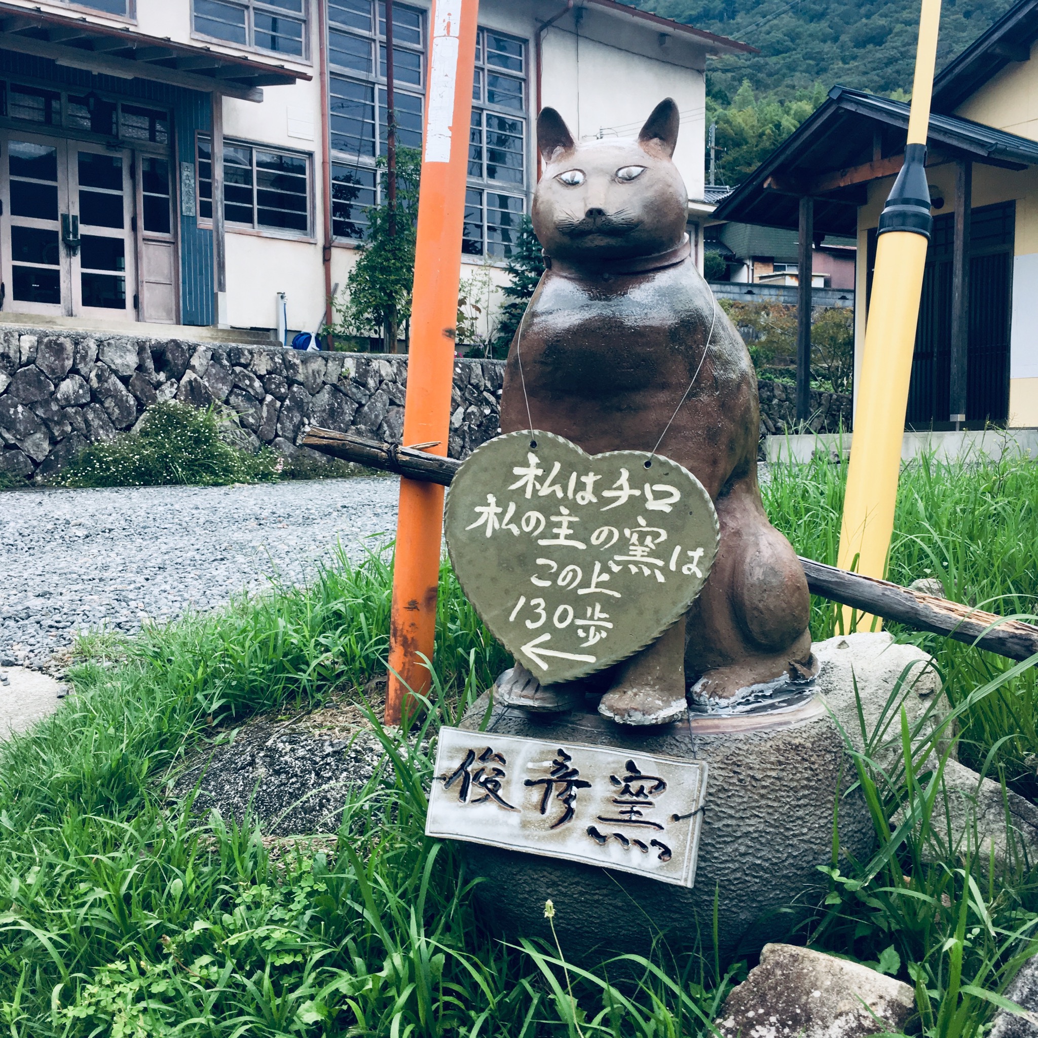 チロちゃん