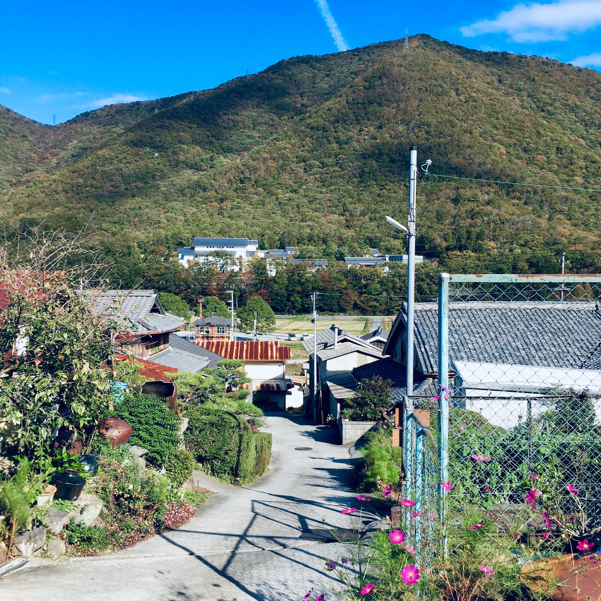 俊彦窯さんからの風景