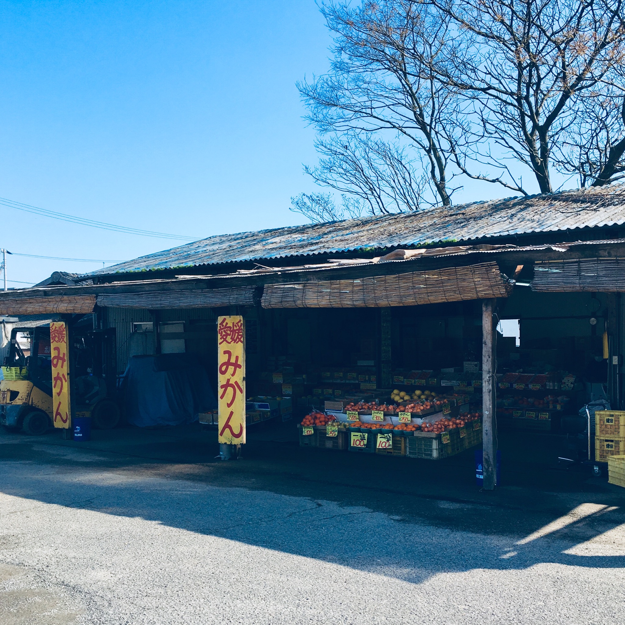 愛媛のみかん直売所