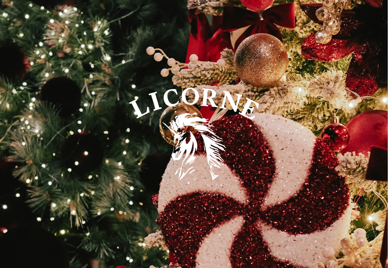 【7日間限定】送料無料キャンペーン 12.9 TUE - 12.15 MON