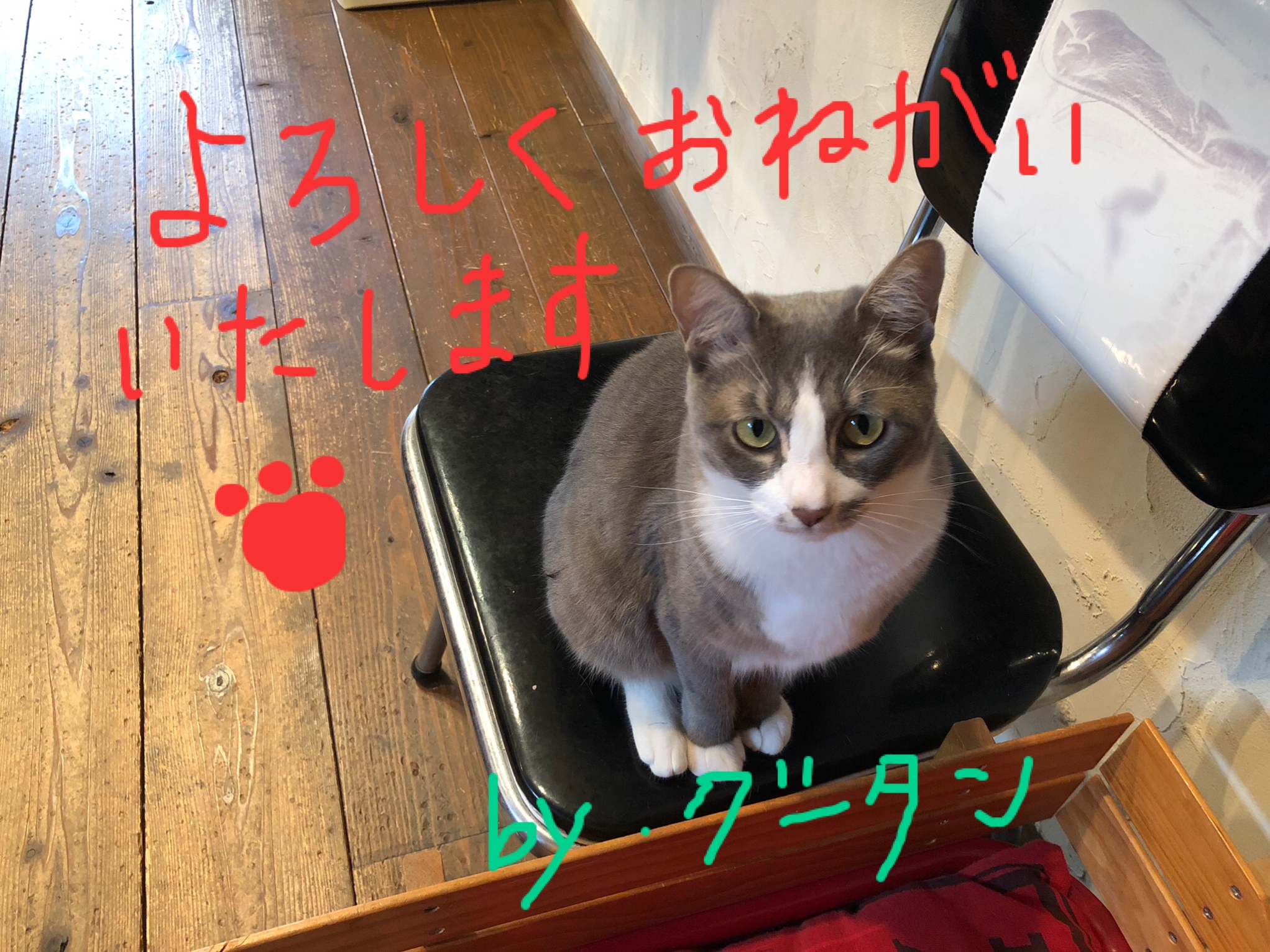 2015年までのWAFFLISH WAFFLE の商品値下げしました！