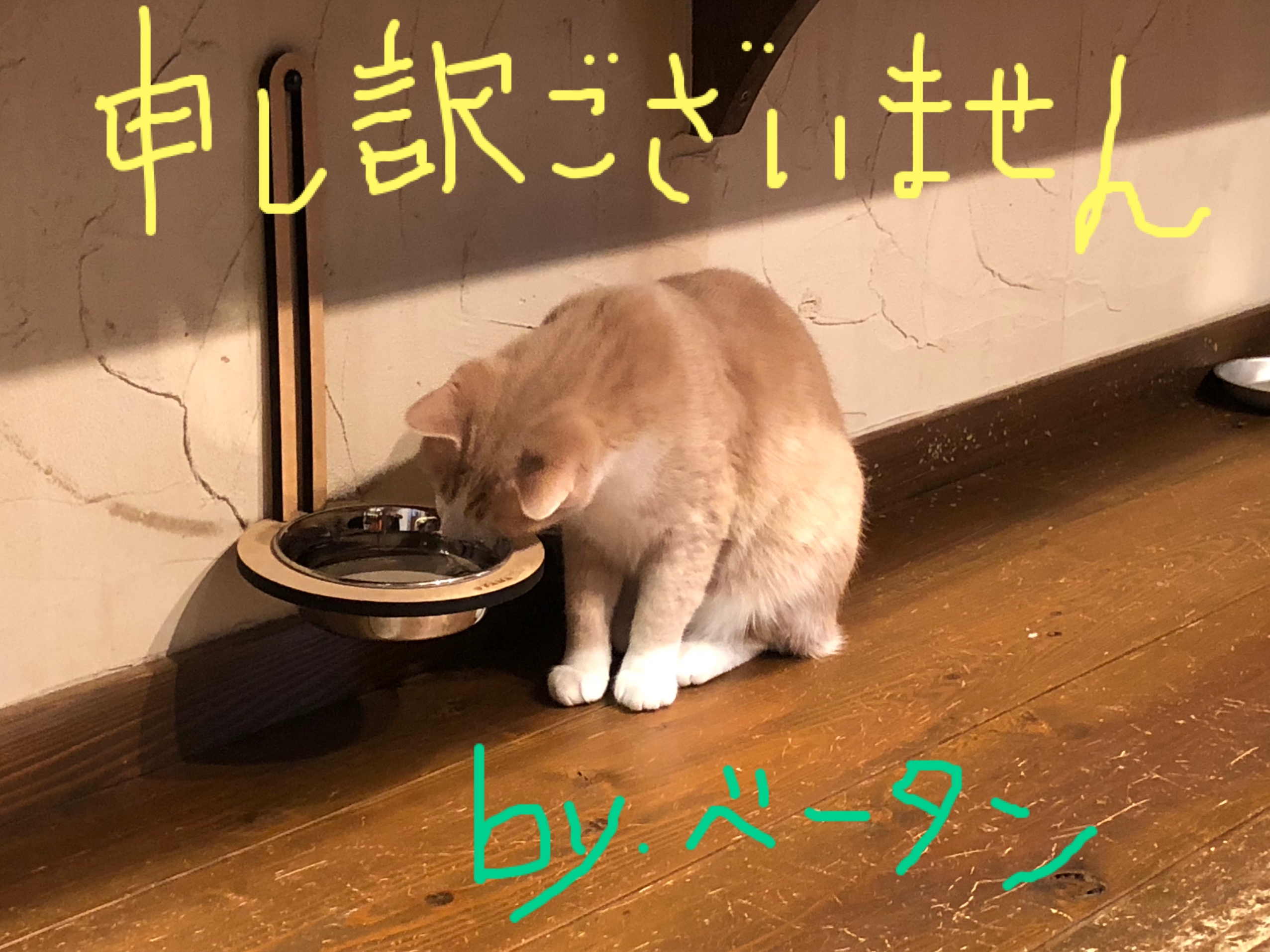 再入荷について