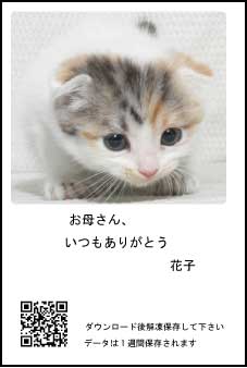 年賀状に動画を付けておめでとうございます