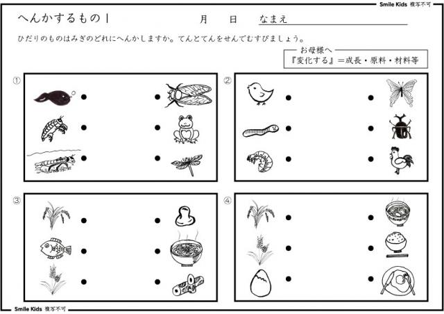 お受験　変化するもの・行事・系列・数のとび
