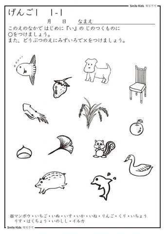 お受験　言語