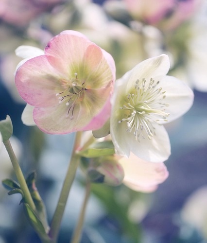 2025年12月発送スケジュールについて