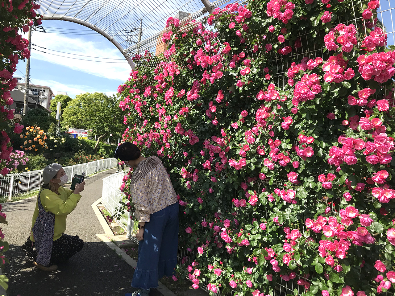 🌹🐝ばら公園で商品撮影📷✨