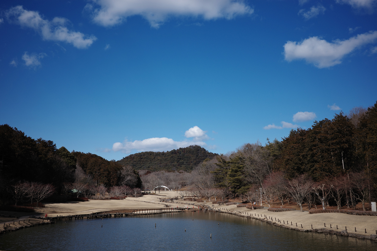 笠間芸術の森公園で散歩