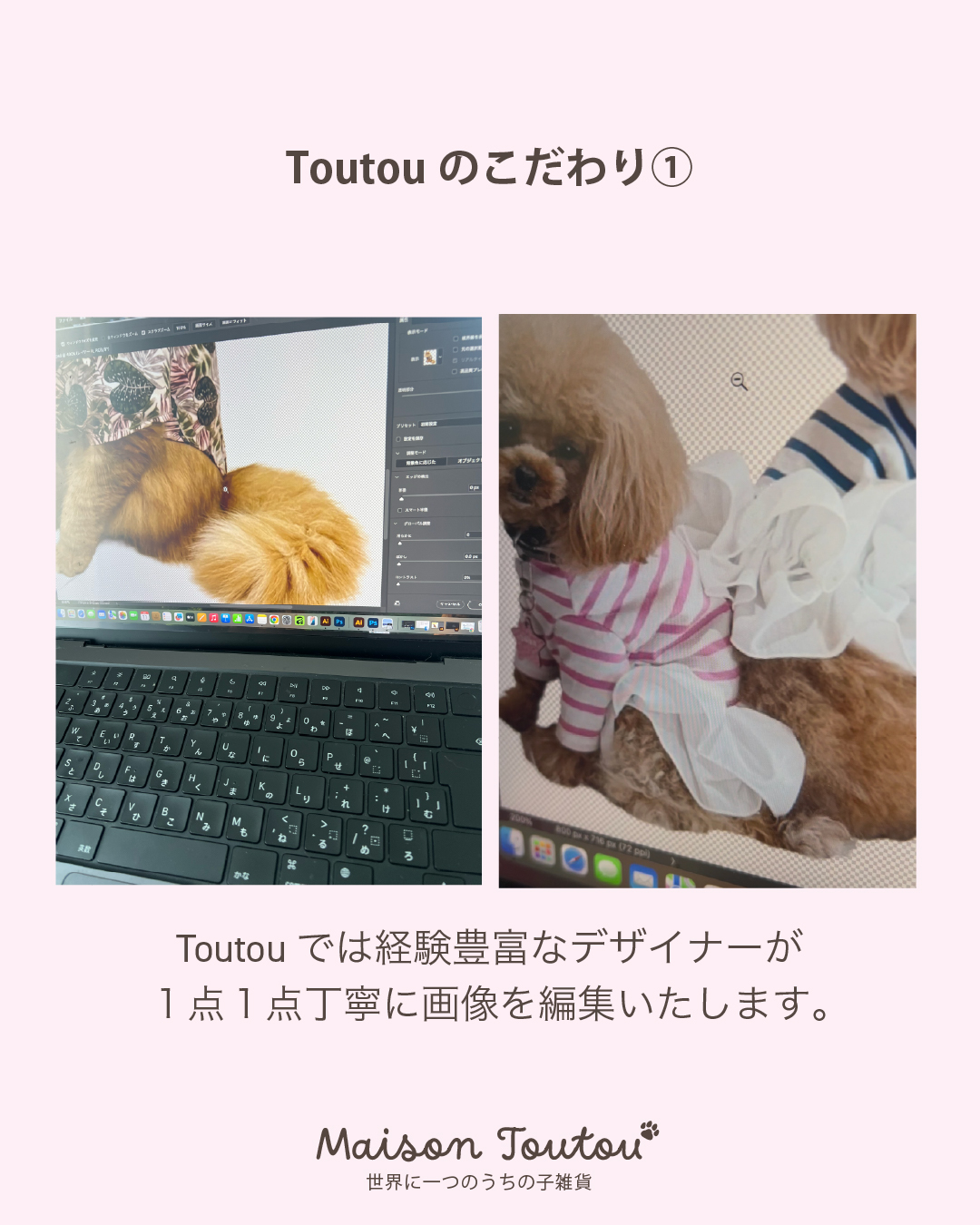 「うちの子グッズ」を、もっとおしゃれに。Maison toutouの3つのこだわり