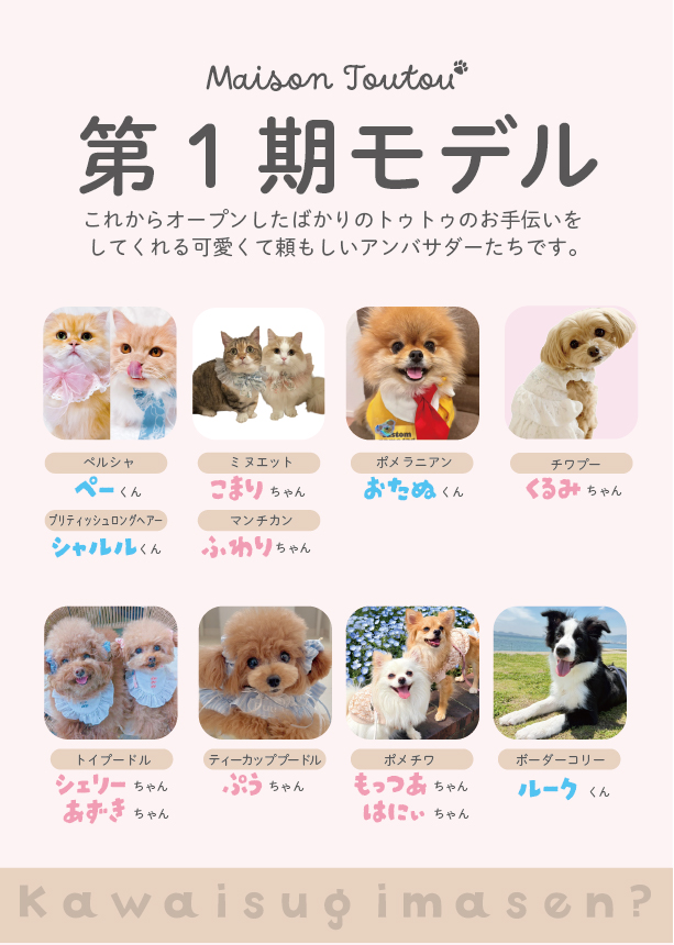 第一期メゾン・トゥトゥのモデルが決定いたしました！