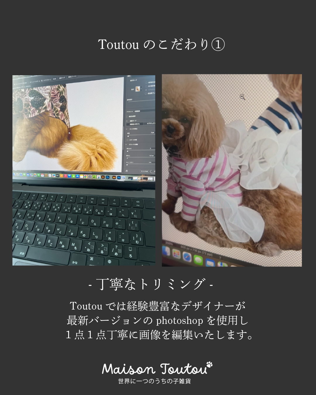 「ペットのお写真で作るうちの子グッズ」をもっとおしゃれに。Maison toutouの4つのこだわり