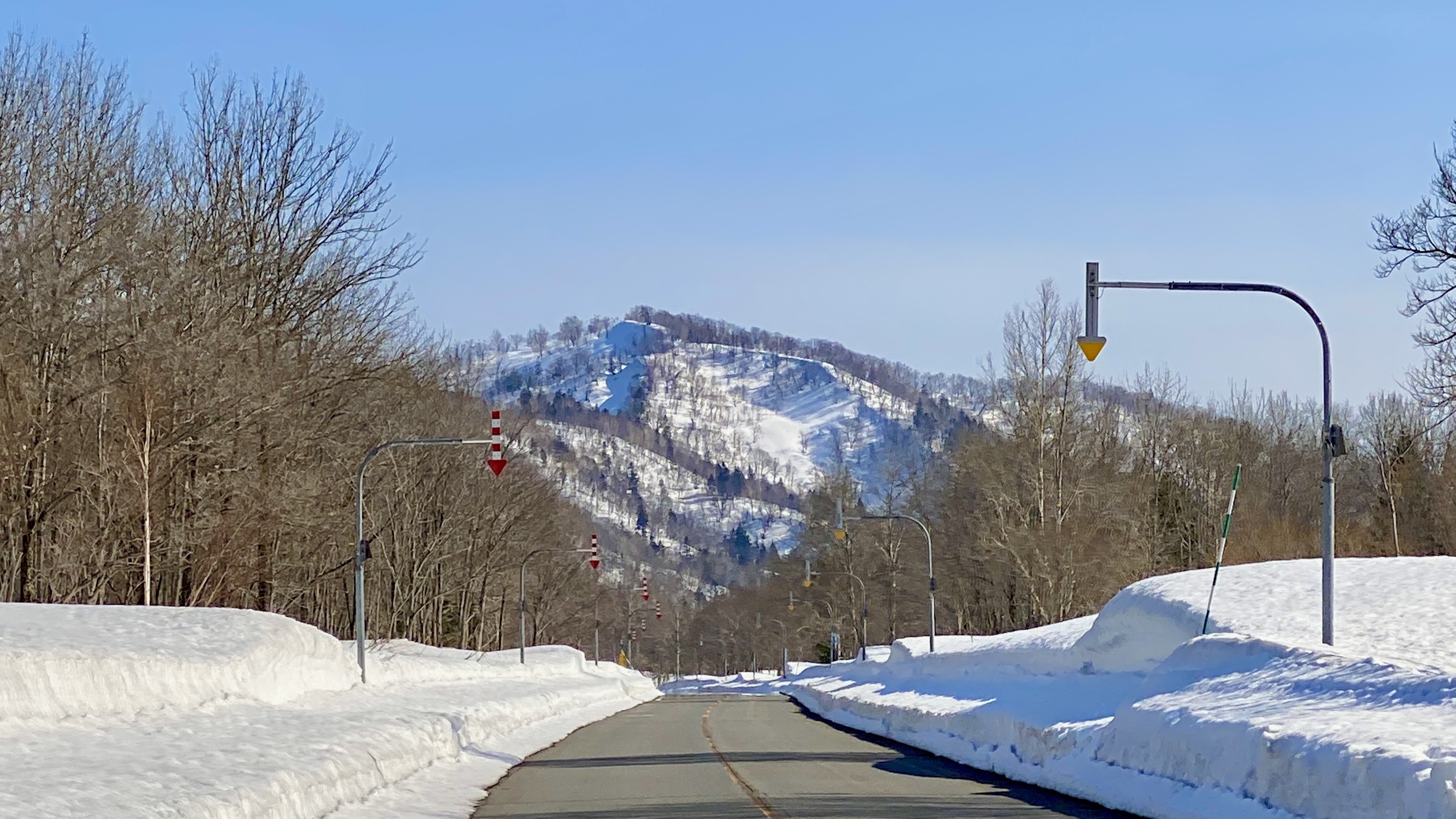 春の出展予定（4～5月）