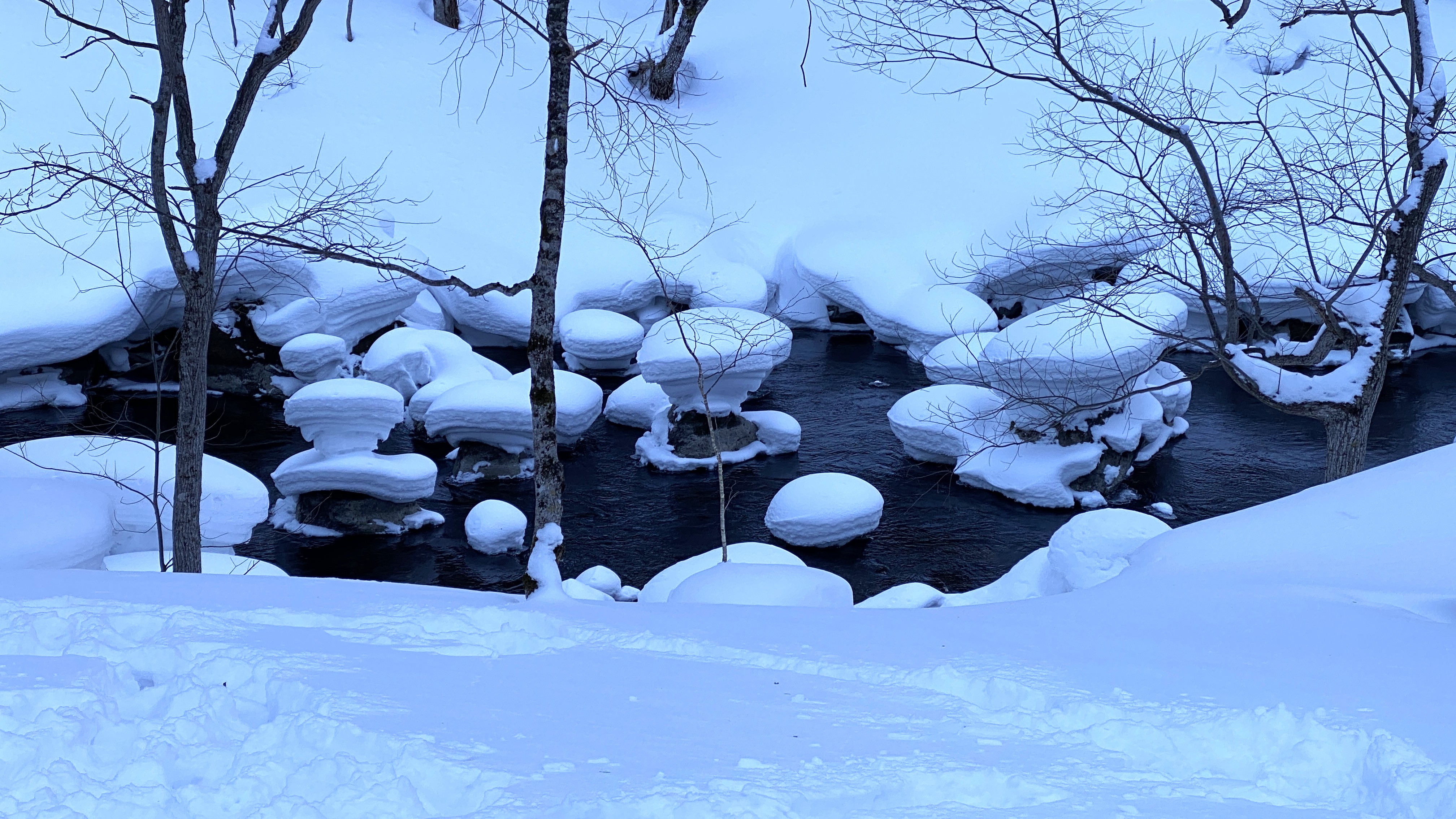 ネットショップ一時変更のお知らせ