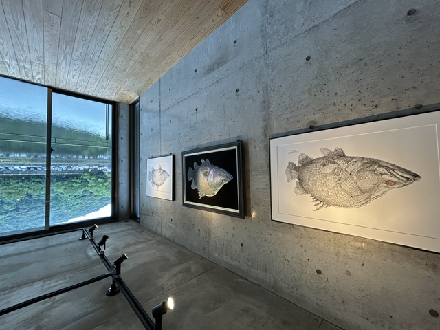 高知で個展開催中です