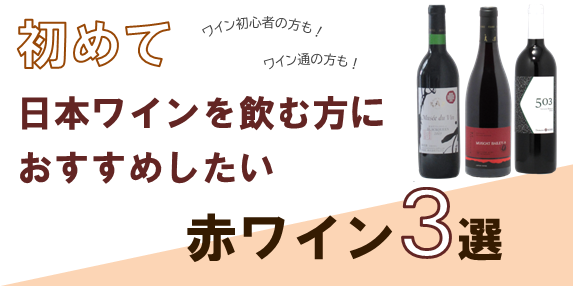 【おすすめワイン】初めて日本ワインを飲む方必見！ おすすめしたい赤ワイン3選