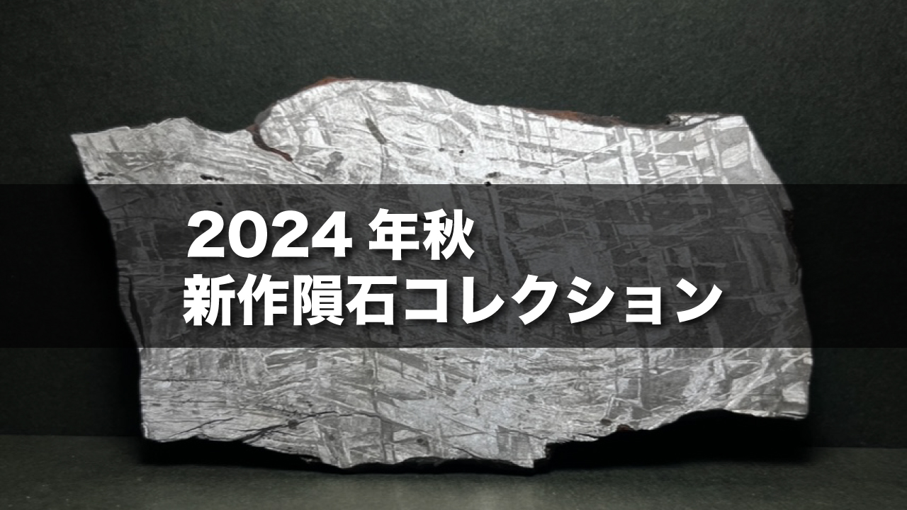 展示会開催と発送について