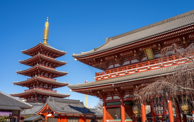 【12月8日(日)開催】今年最後の東京隕石マルシェ