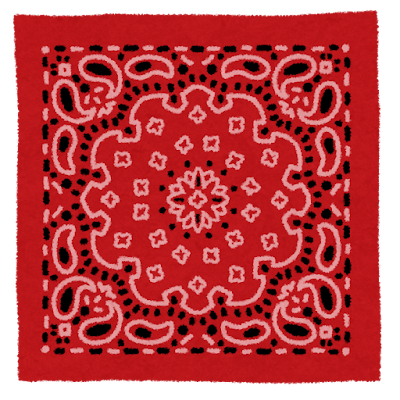 USA Bandana Restock！！