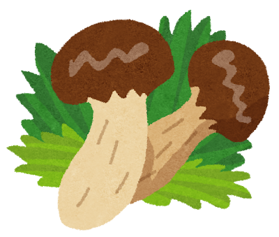 11月のスケジュール